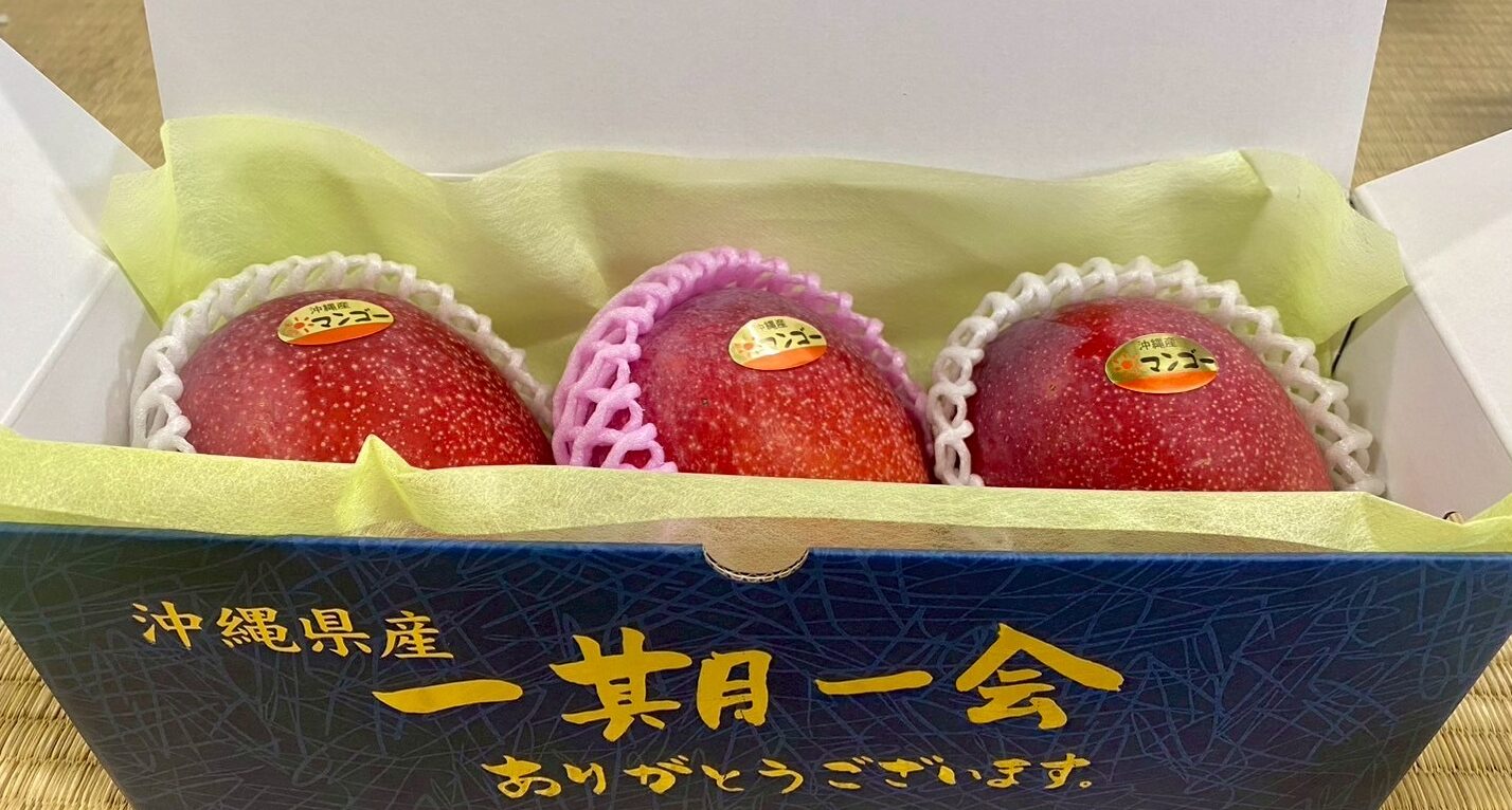 今年もやって来た〜〜〜🥭