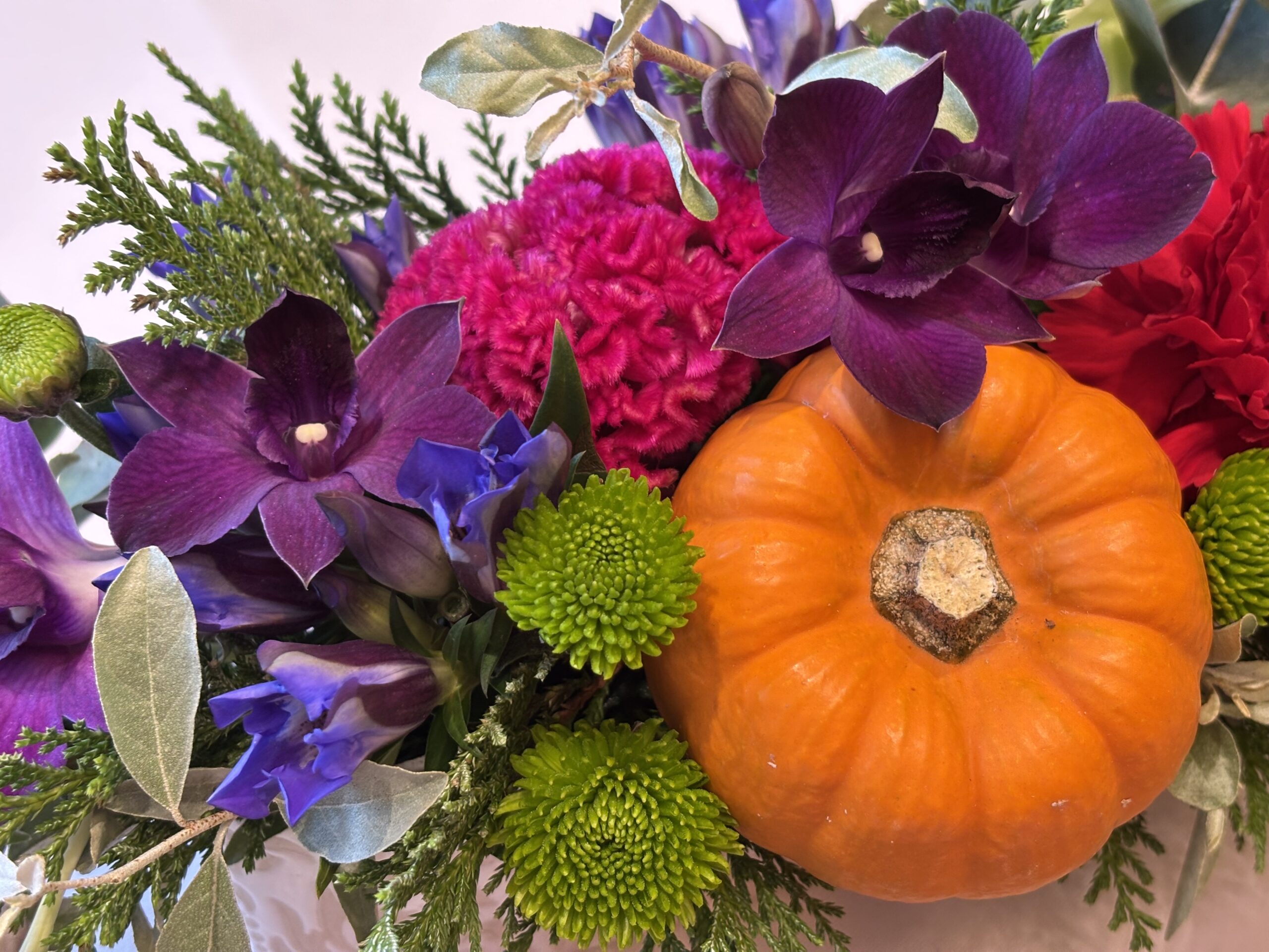 『解放された⁉️ 女性たち』